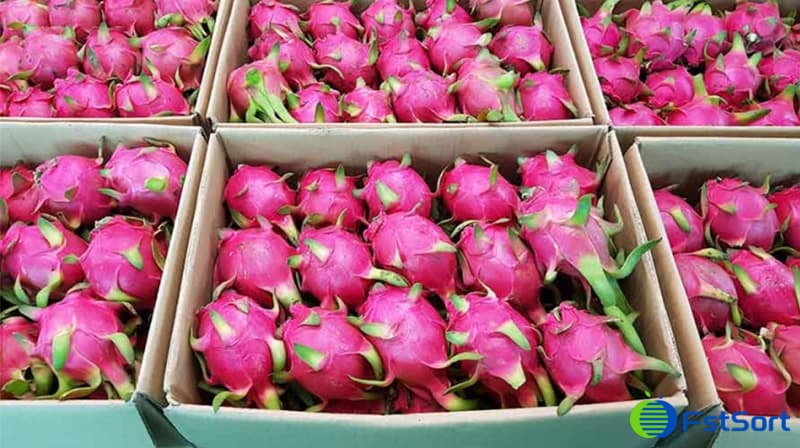 images/1670916893833dragon fruit processing machine.jpg